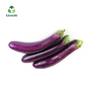 Cà tím nhật bản Kahami – Rau sạch