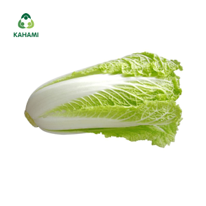 Cải Thảo Kahami – Rau sạch