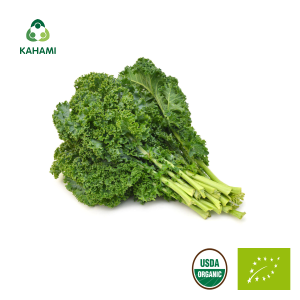 Cải xoăn Kale hữu cơ
